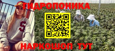 мяу мяу кристалл Якутск