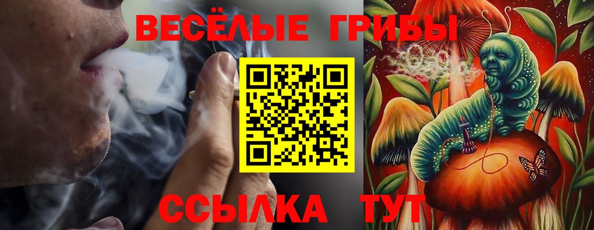 Артём  где можно купить наркотик  Вход с VPN  Галлюциногенные грибы Magic Shrooms 